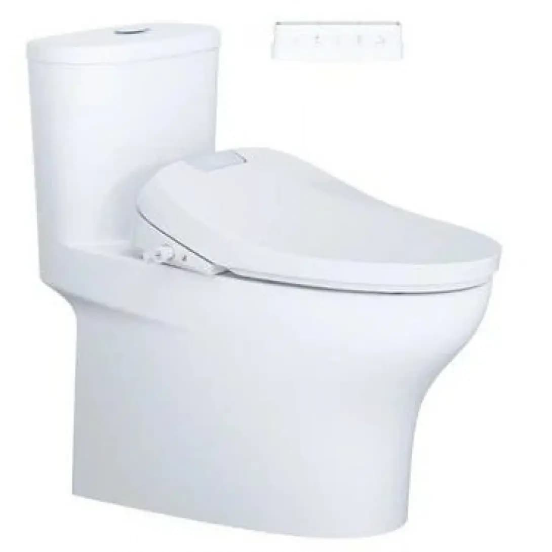 Bồn Cầu Nắp Rửa Điện Tử CAESAR C1394F (không nắp) + TAF610H 1 Khối
