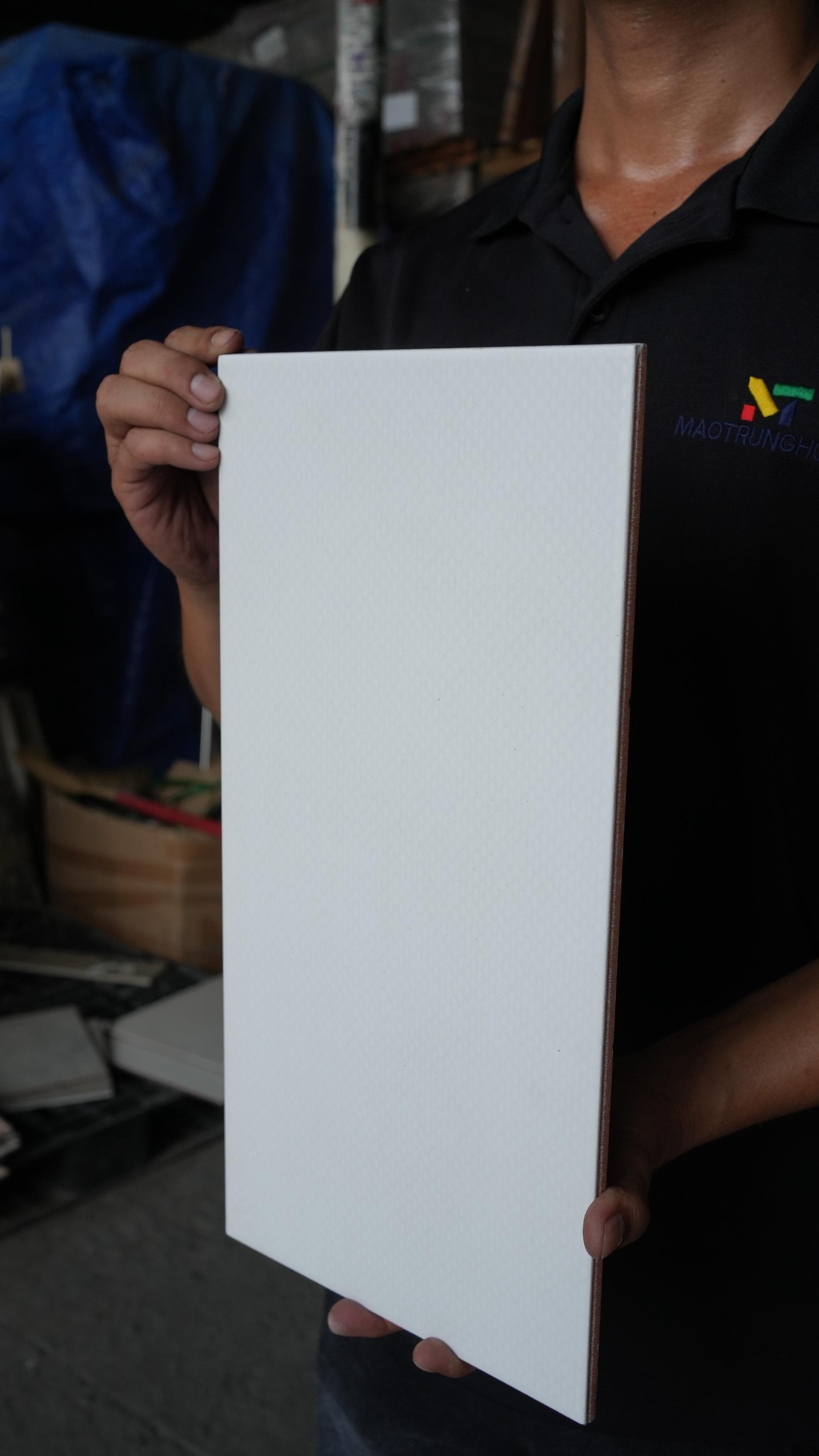 Gạch ốp lát Union Mosaic 20x40 L-101DINOMATTWHITE