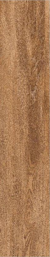 Gạch Ấn Độ - AGL-PAINTE HONEY 200x1200mm
