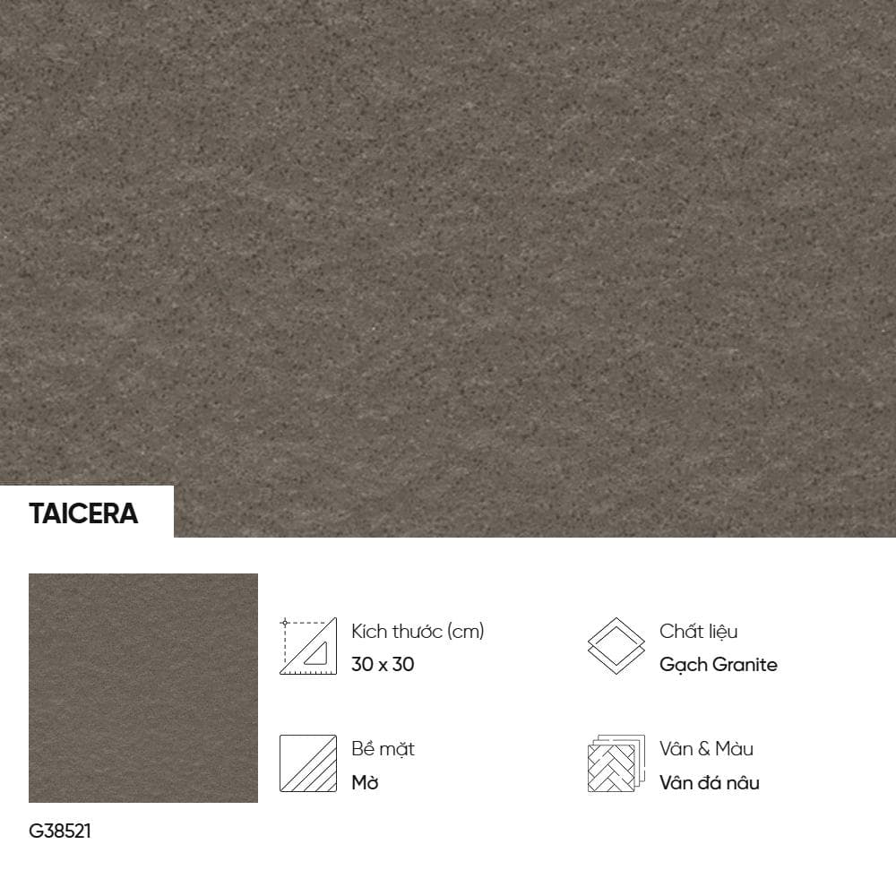 Gạch lát nền Taicera vân đá G38521