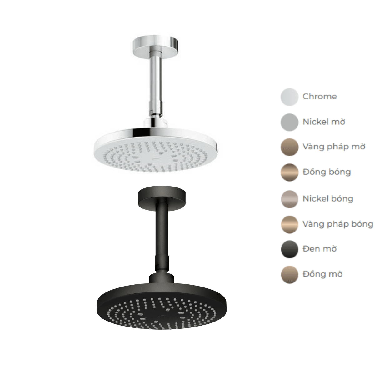 Bát sen tắm gắn trần tròn 220mm TOTO TBW01003B1A (TBW01003B1)