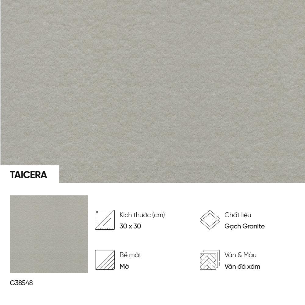 Gạch lát nền Taicera vân đá G38548