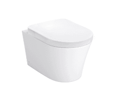 Bồn cầu treo tường LUMINIST / AVANTE TOTO CW553C#XW