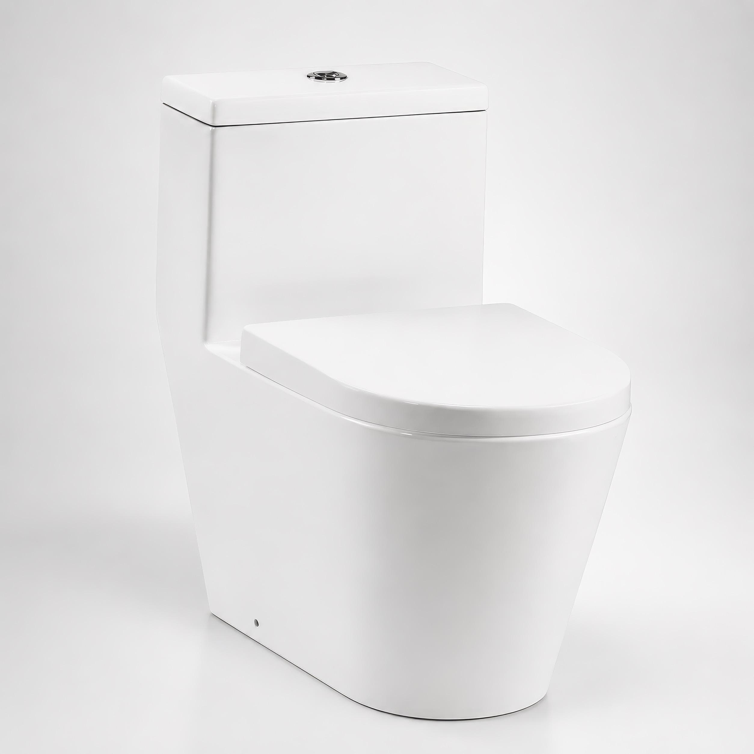 Bồn cầu 1 khối xả nhấn Rigel R-WOS9010S12-S