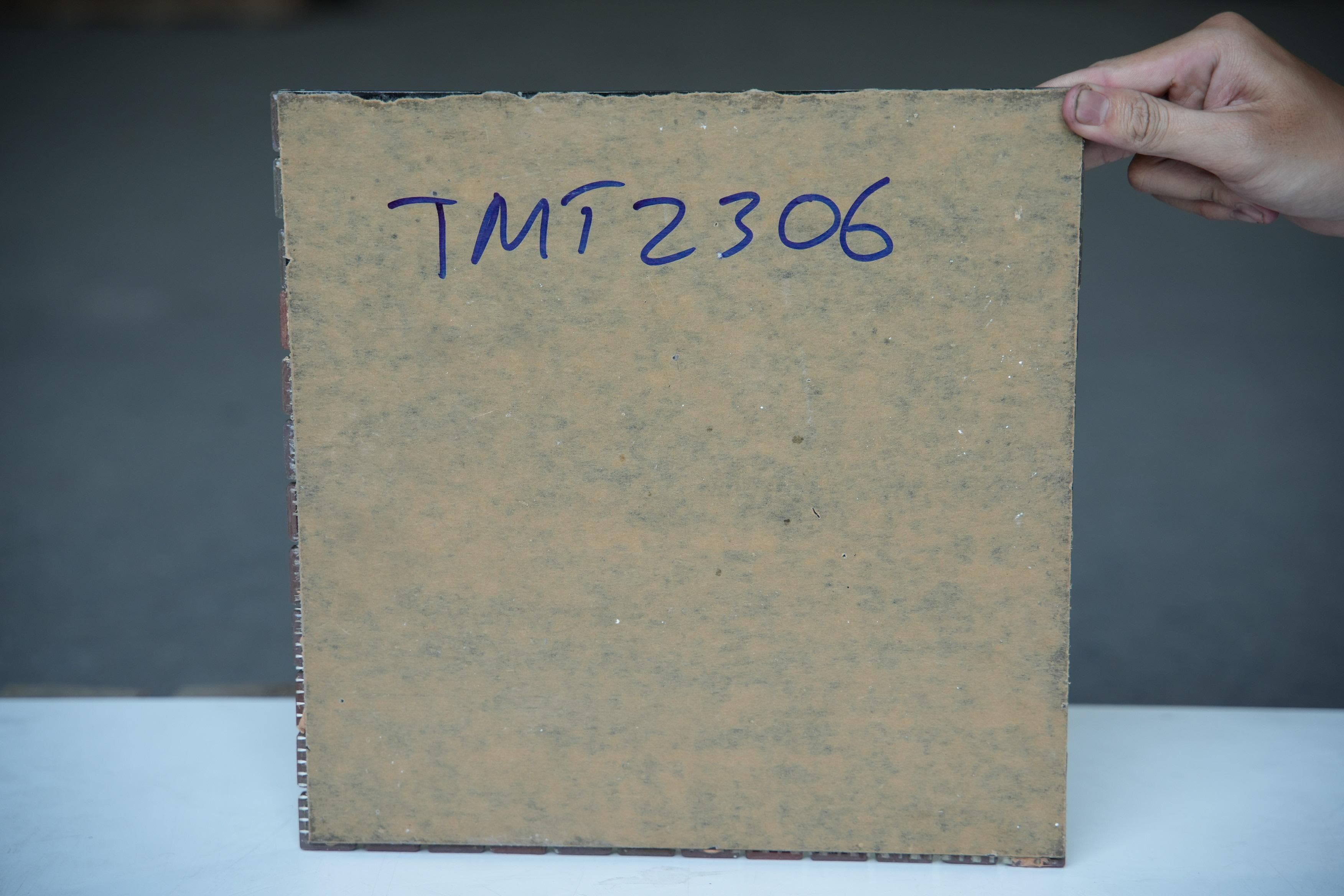 Gạch ốp tường Foshan Jingcifang Art Ceramics 30x30 TMY2306