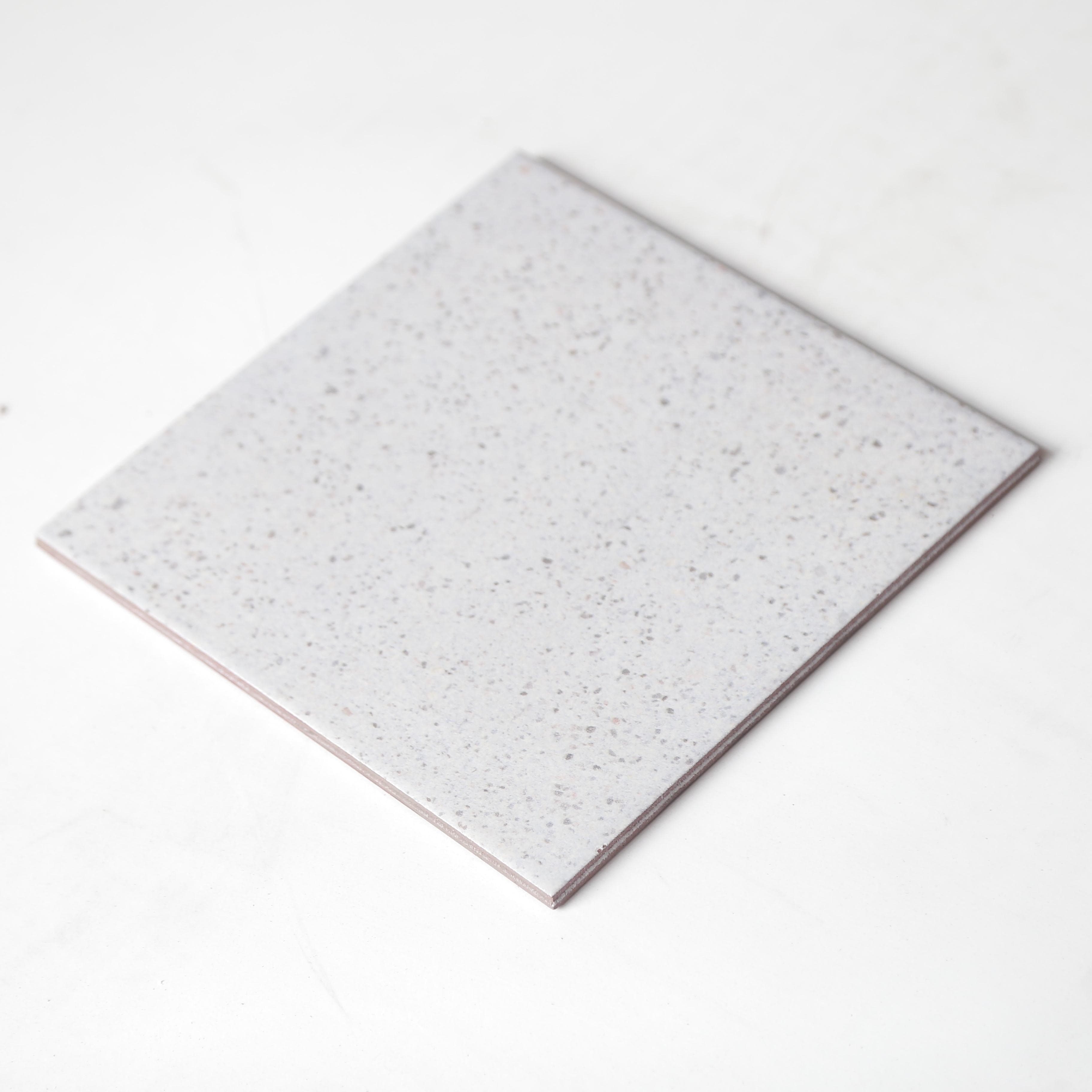 Gạch ốp lát Duragres 20x20 RINAGREY