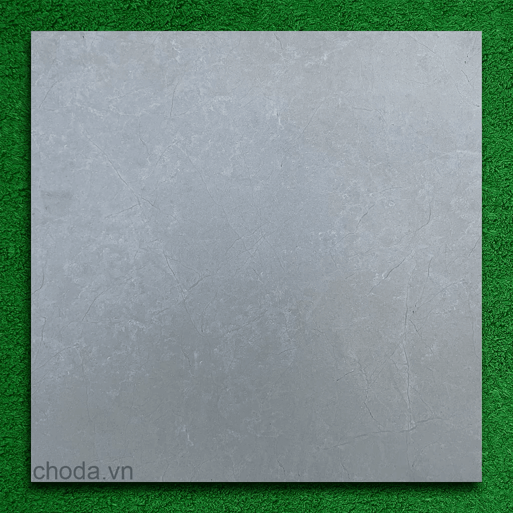 Gạch ốp lát Perfetto 60x60 8308