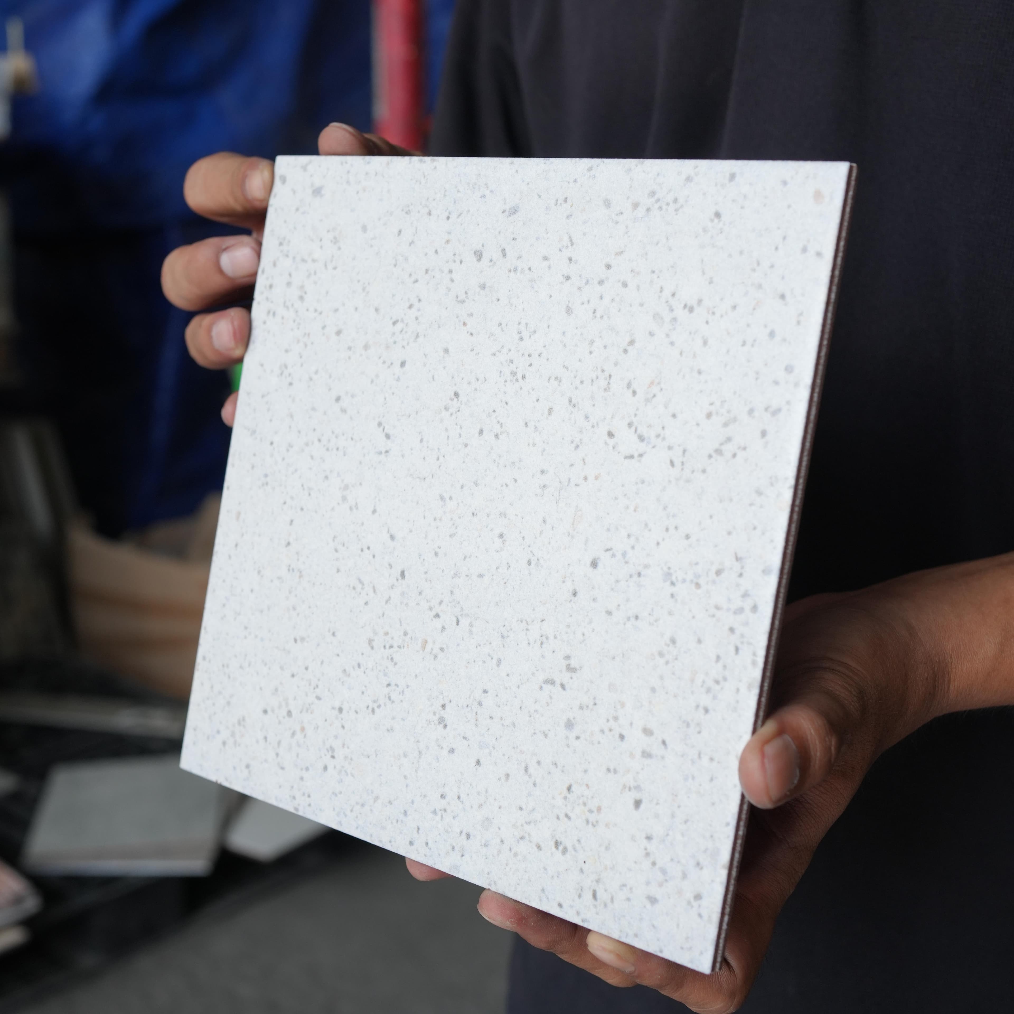 Gạch ốp lát Duragres 20x20 RINAGREY