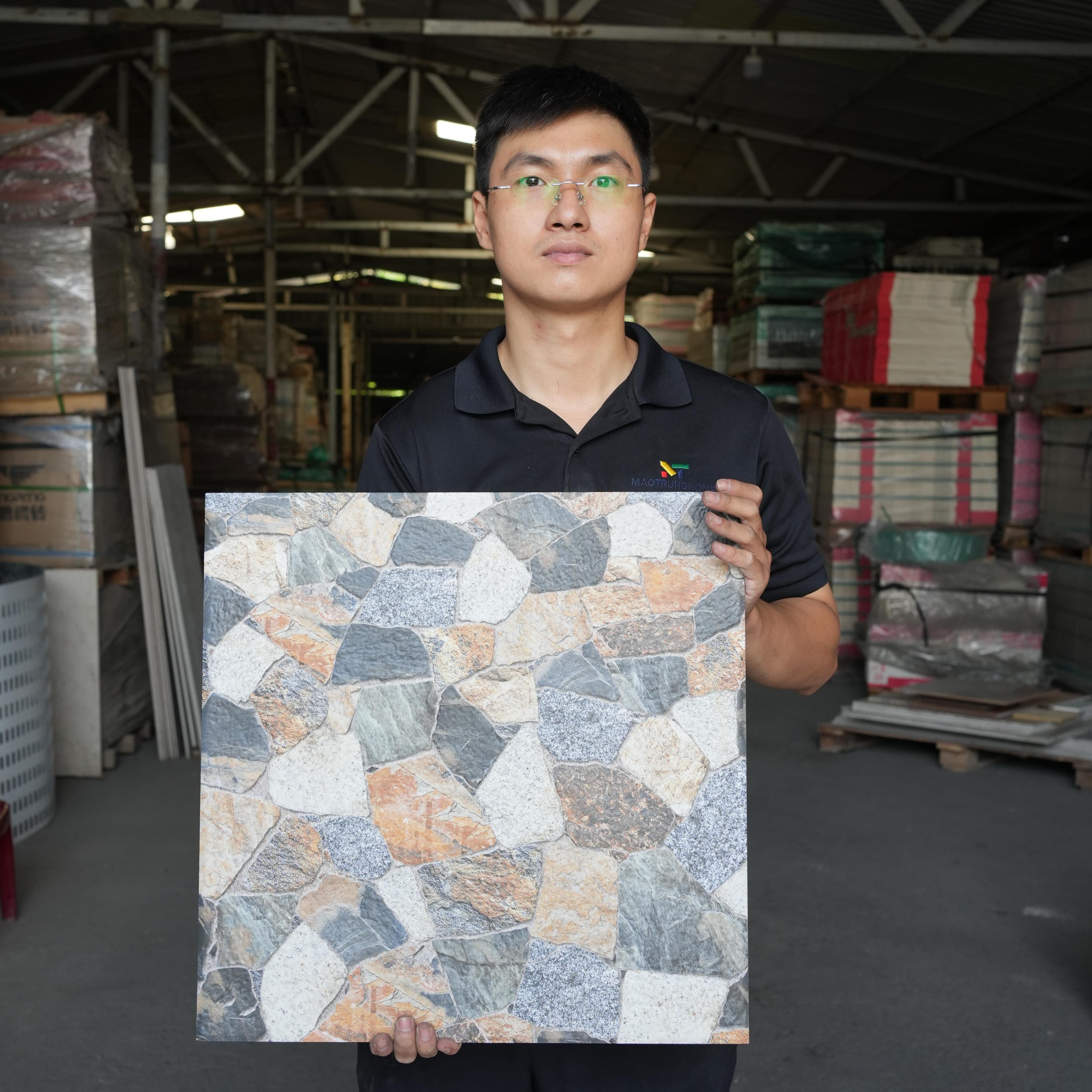 Gạch ốp lát Union Mosaic 50x50 FIDELIOCOLORFUL(D)