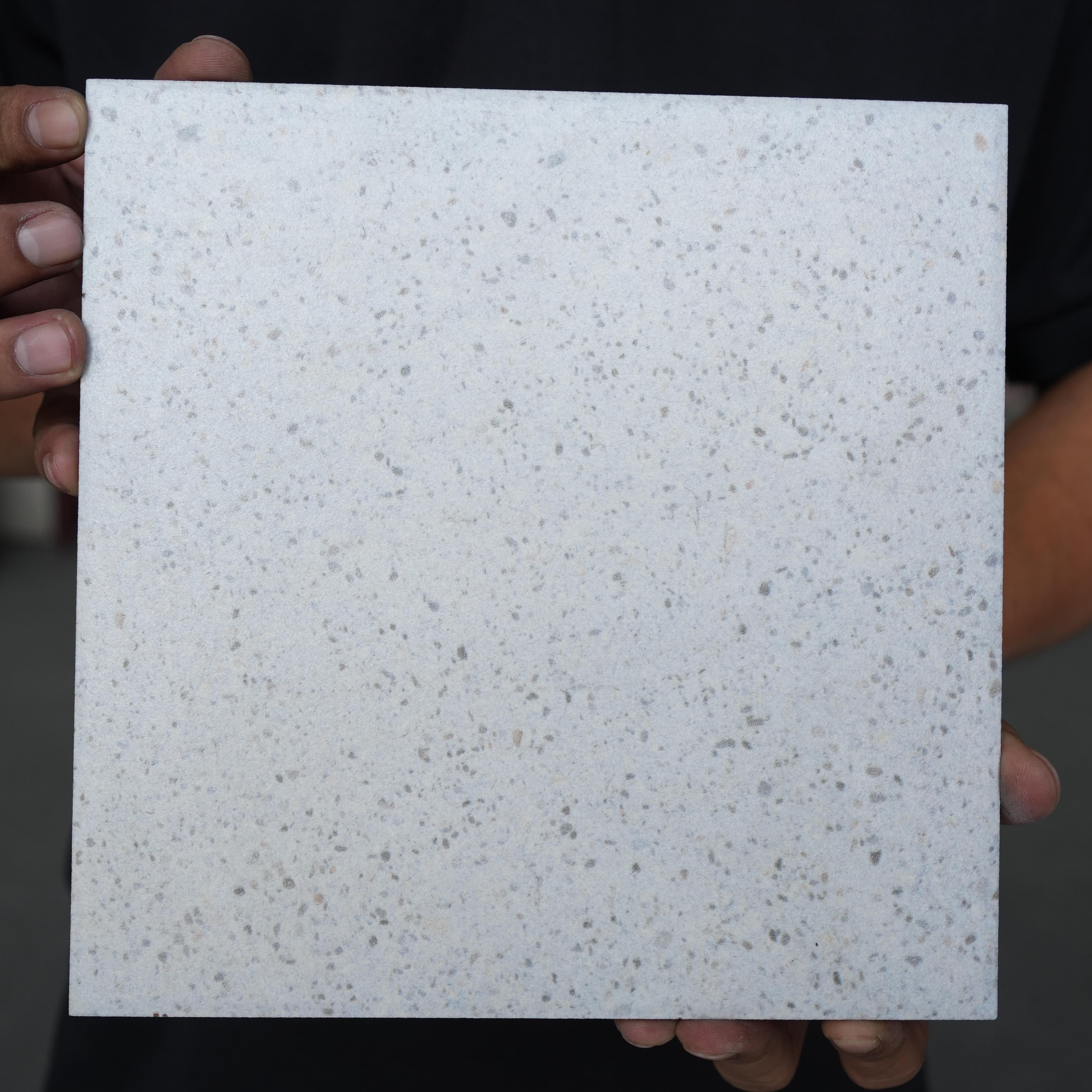 Gạch ốp lát Duragres 20x20 RINAGREY