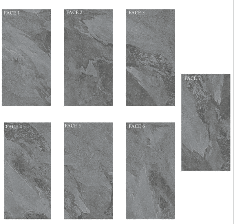 Gạch ốp lát Viglacera 45x90 PT20G459022