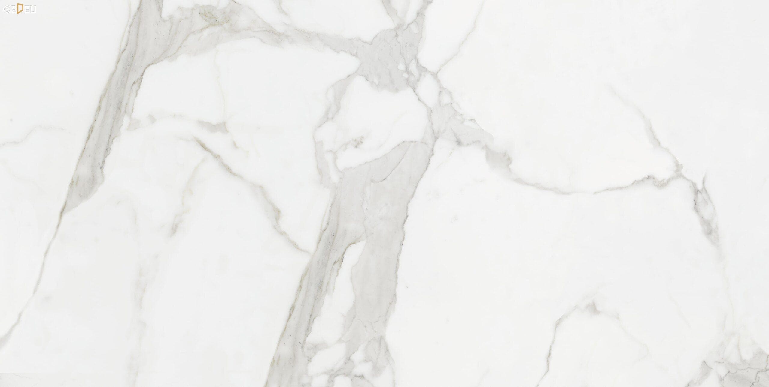 Gạch ốp lát Seron Granito Ấn Độ 60x120 MERCURYSATVARIO
