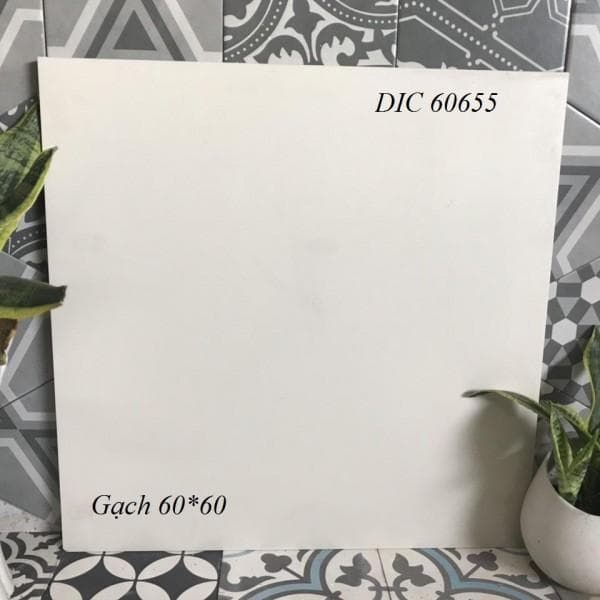 Gạch lát nền Pancera 30x60 GP63655