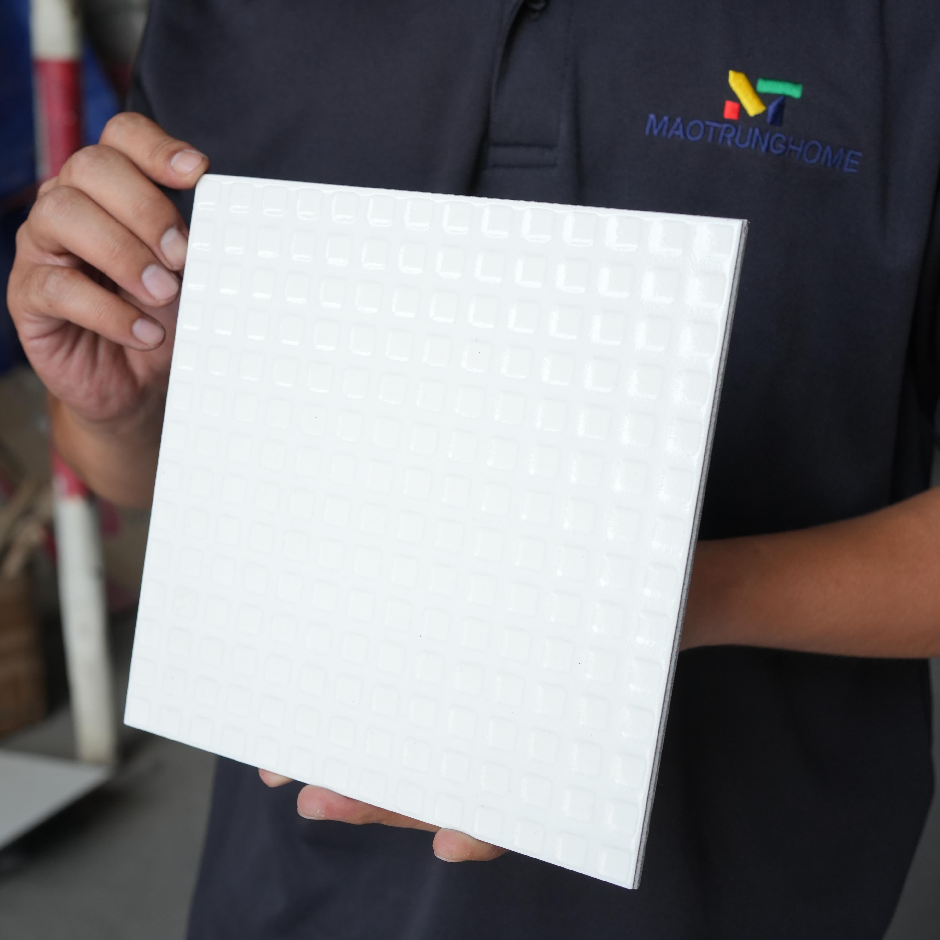 Gạch ốp lát Duragres 20x20 ATOMWHITE