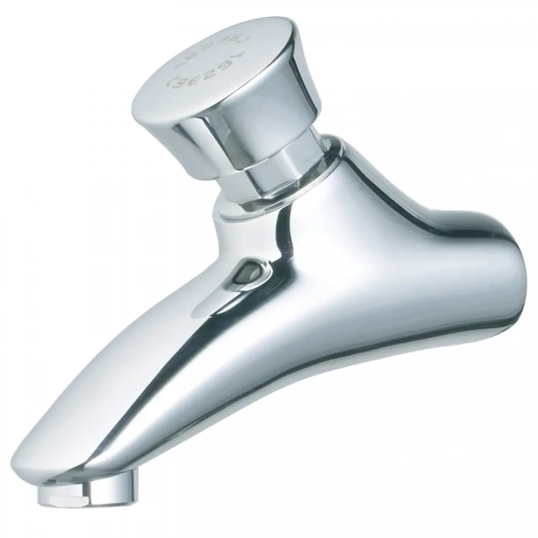 Vòi Lạnh Gắn Tường CAESAR W054C Bán Tự Động