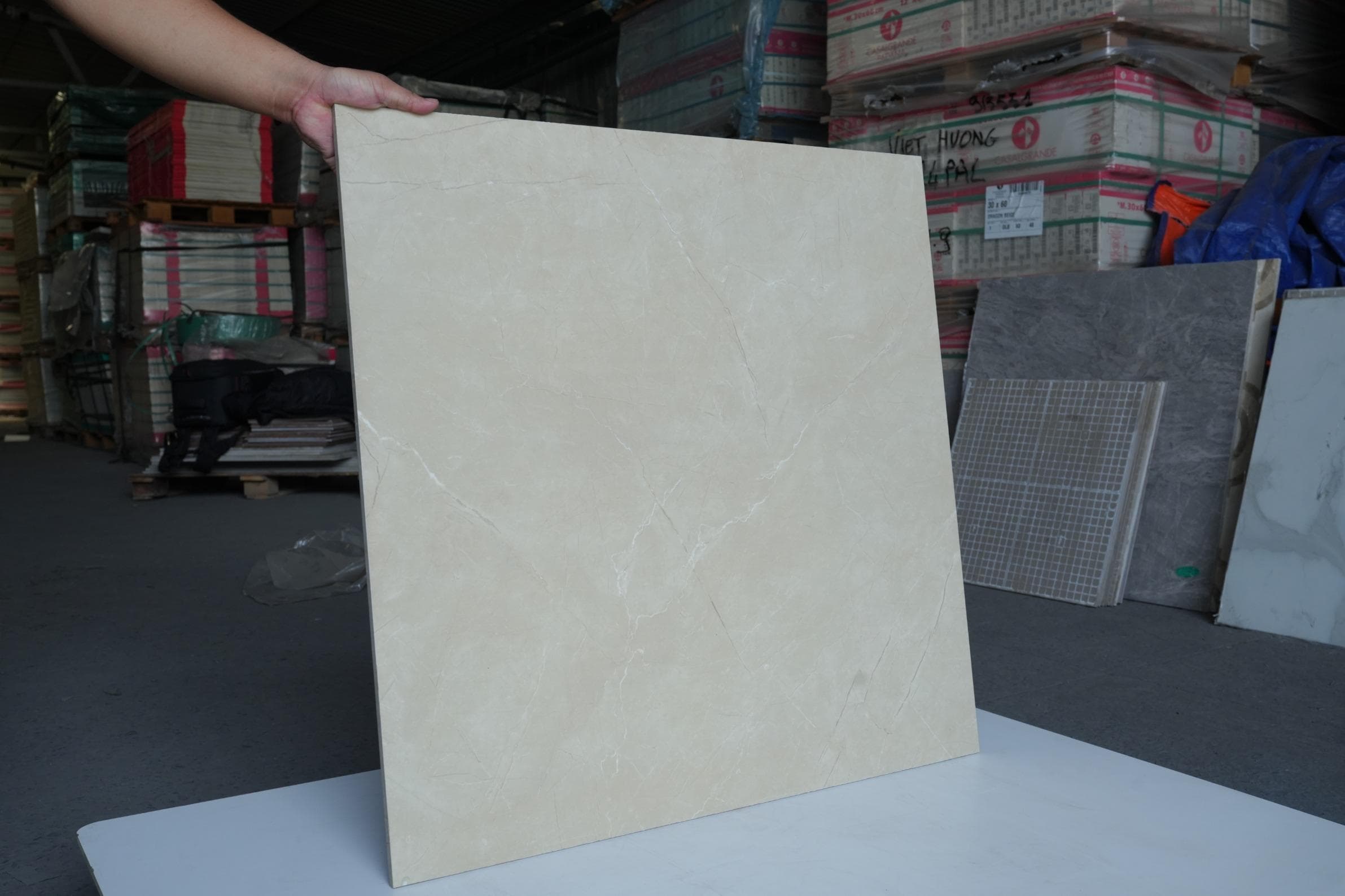 Gạch ốp lát Foshan Dongfeng 80x80 YG806203
