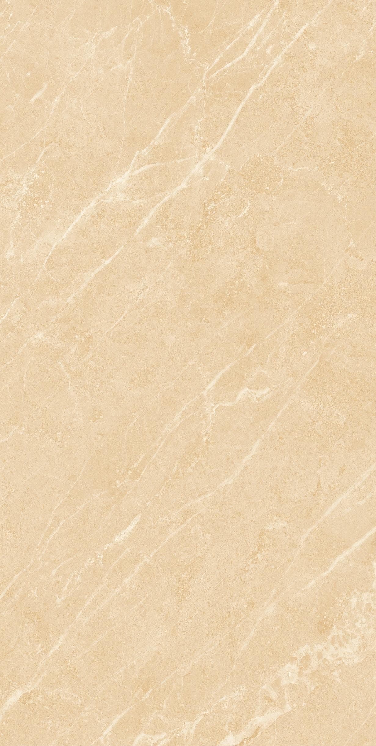 Gạch ốp lát Apodio 60x120 23011
