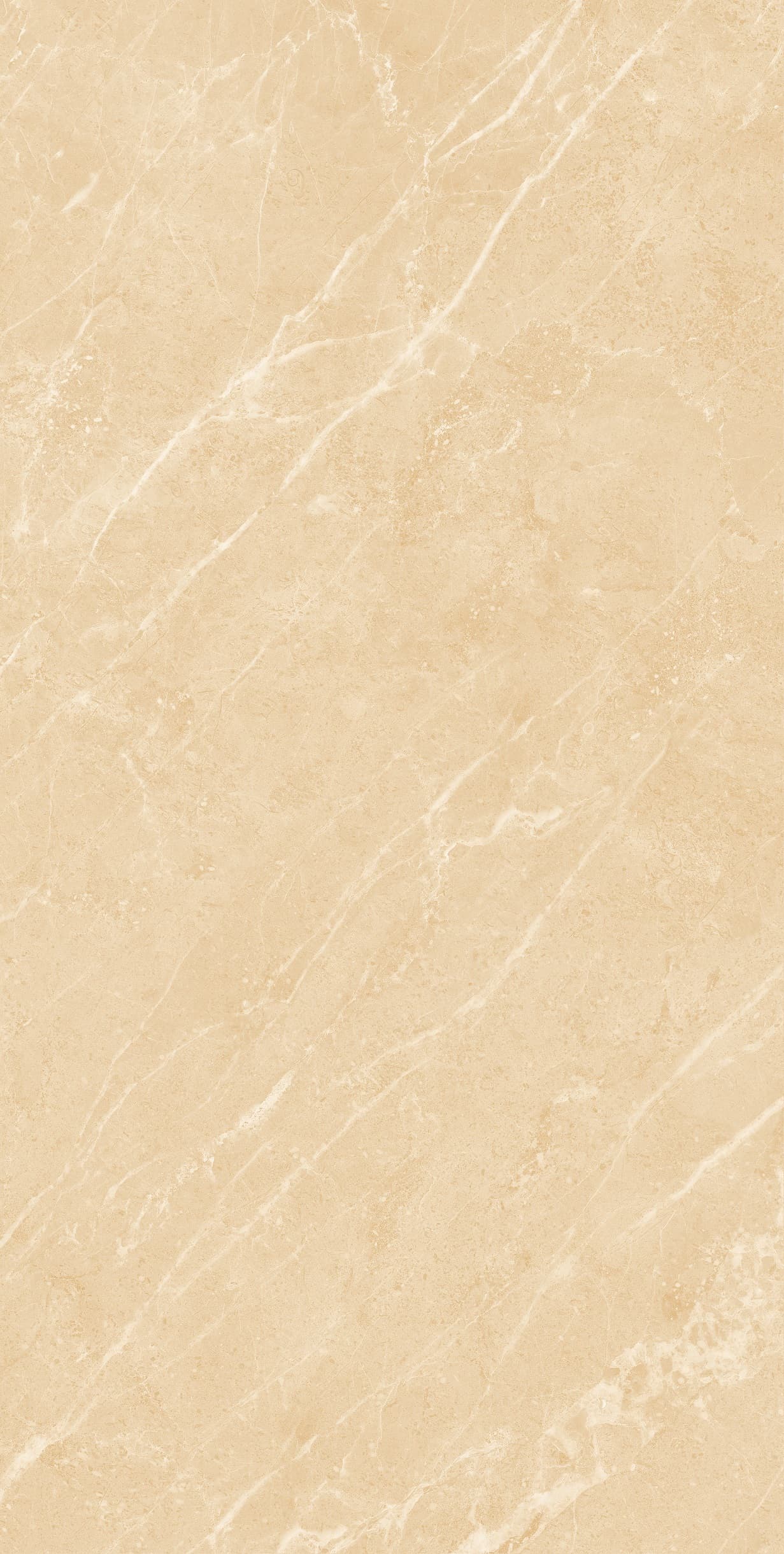 Gạch ốp lát Apodio 60x120 23011