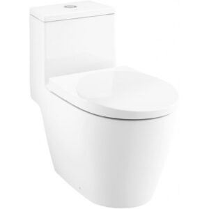 Bồn cầu một khối C100207