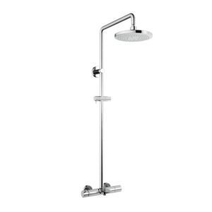 SEN CÂY TOTO NÓNG LẠNH KÈM VÒI XẢ BỒN - TBW01301BB