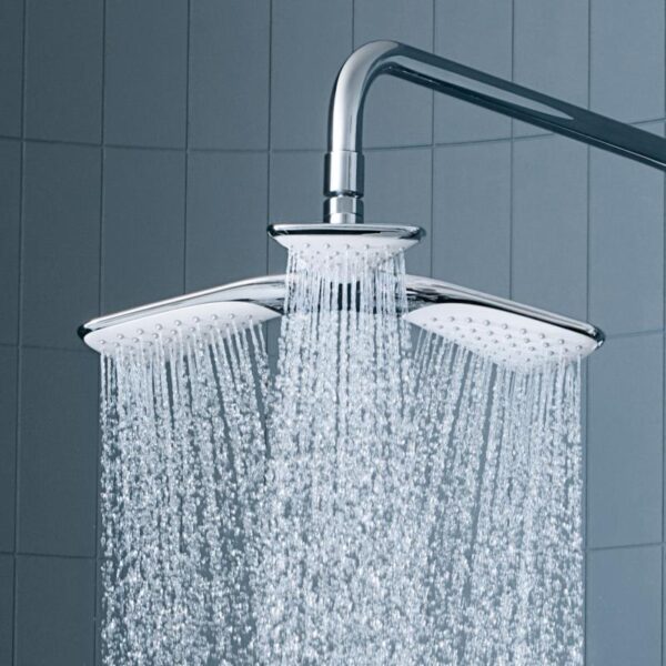 CÂY SEN TẮM KLUDI FIZZ - Ảnh 2