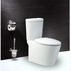 Bồn cầu hai khối nắp êm - CD1348