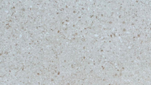 GẠCH MT ỐP LÁT 30×60 CM 04.25478