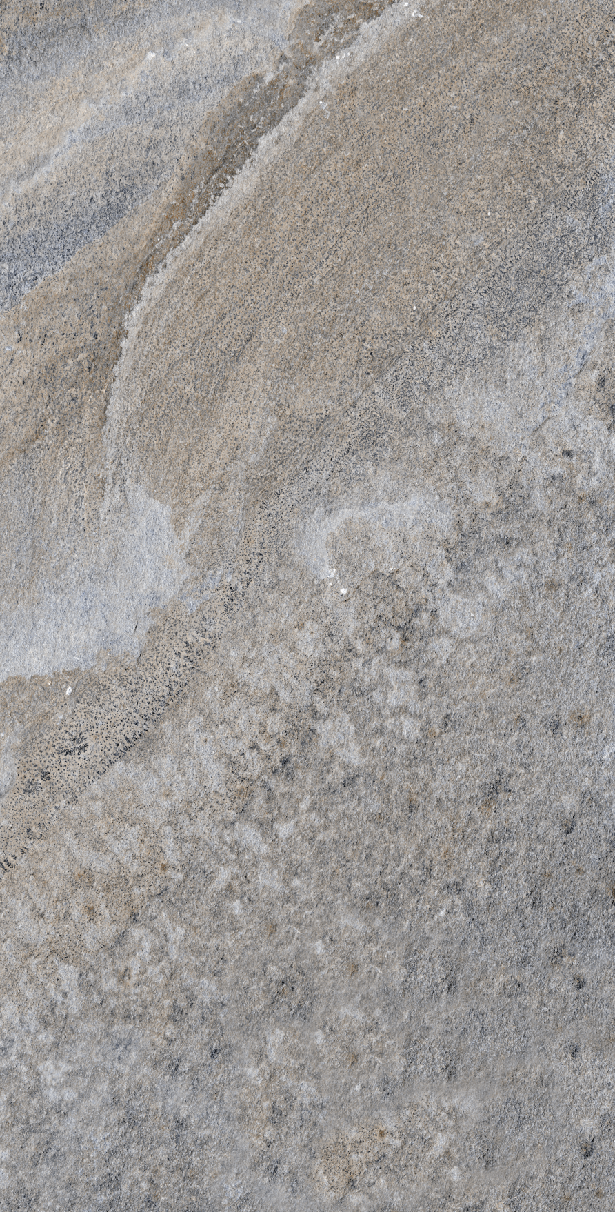 GẠCH EUROTILES PHÙ SA 45x90CM - Ảnh 4