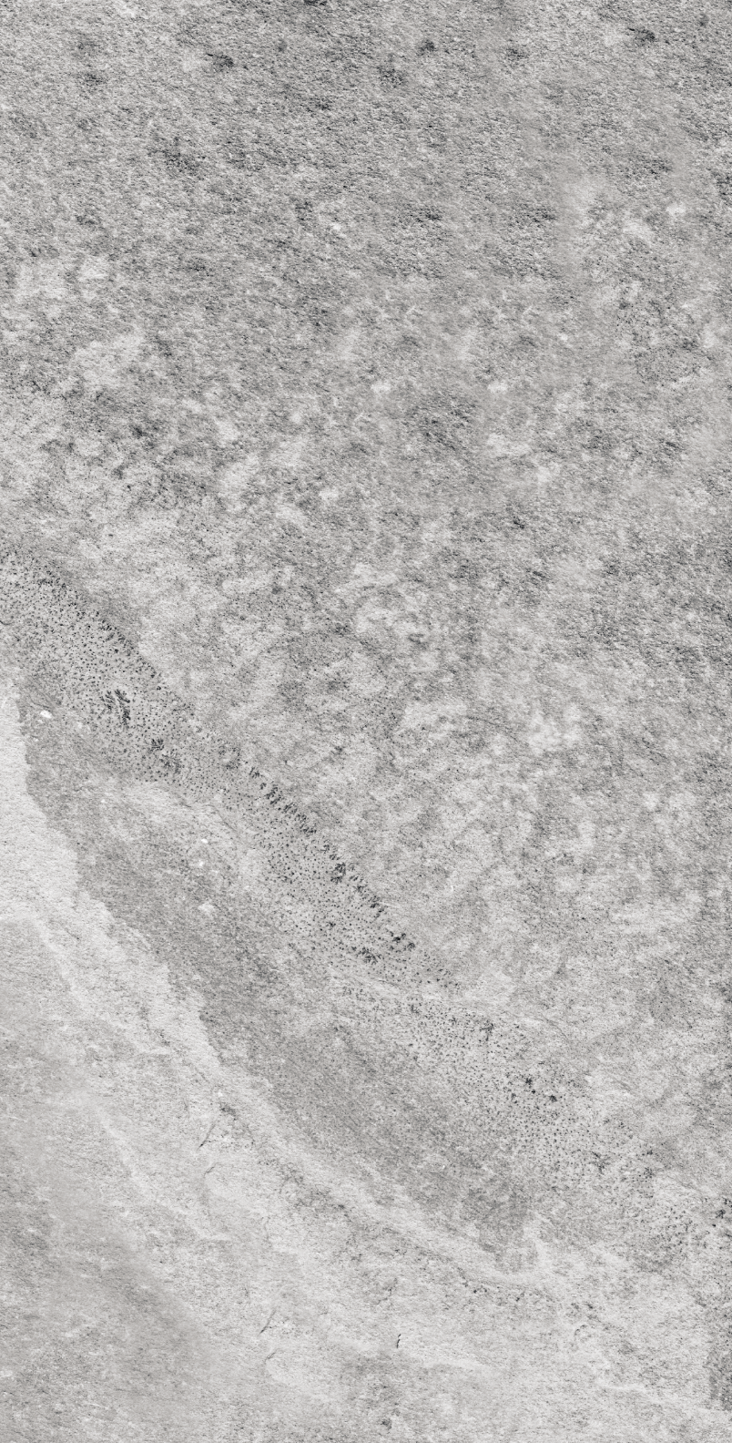 GẠCH EUROTILES PHÙ SA 30x60CM - Ảnh 11