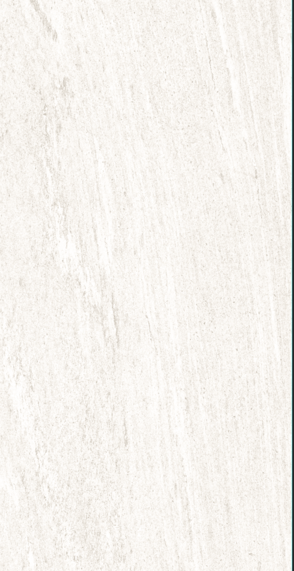 GẠCH EUROTILES LƯU SA 30X60CM - Ảnh 29