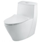 Bồn cầu một khối, dòng cao cấp - AC-919VRN