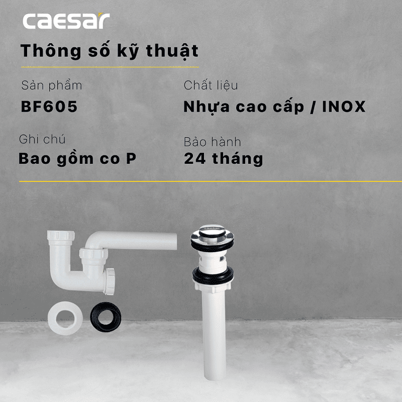 BỘ XẢ NHẤN NHỰA CAESAR BF605 - Ảnh 2