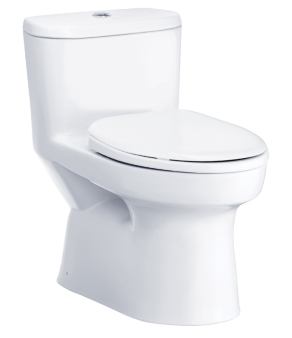 Bồn cầu một khối, màu trắng - C1015