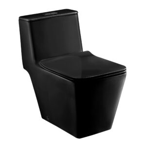 Bồn cầu một khối, màu đen - C10323MBK