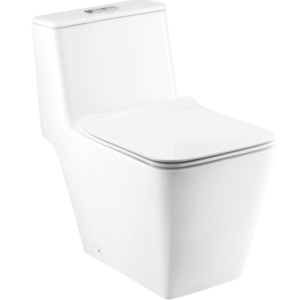 Bồn cầu một khối, nhấn Quado - C10327