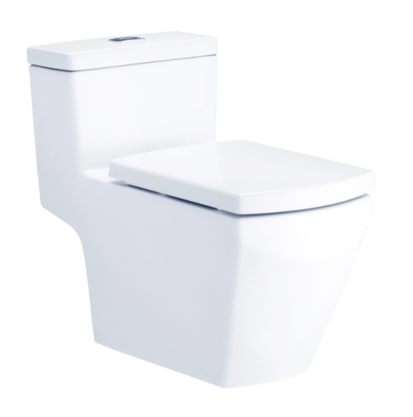 Bồn cầu một khối, màu trắng - C107127