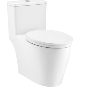 Bồn Cầu COTTO C110507 Một Khối Harmony