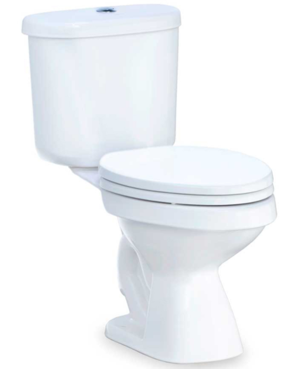 Bồn cầu hai khối, màu trắng - C13960