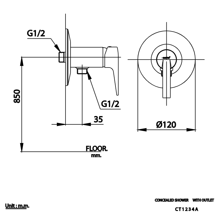 CỦ SEN TẮM COTTO - CT1234A - Ảnh 2
