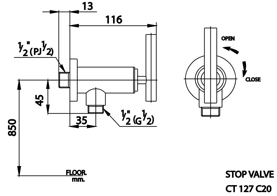 CỦ SEN COTTO - CT127C20 - Ảnh 2