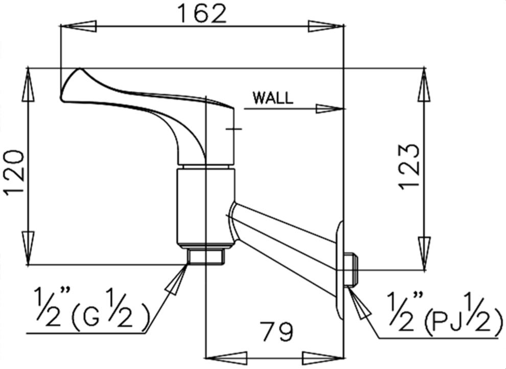CỦ SEN COTTO - CT192C10(HM) - Ảnh 2