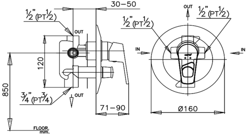 CỦ SEN COTTO - CT2037AV - Ảnh 2