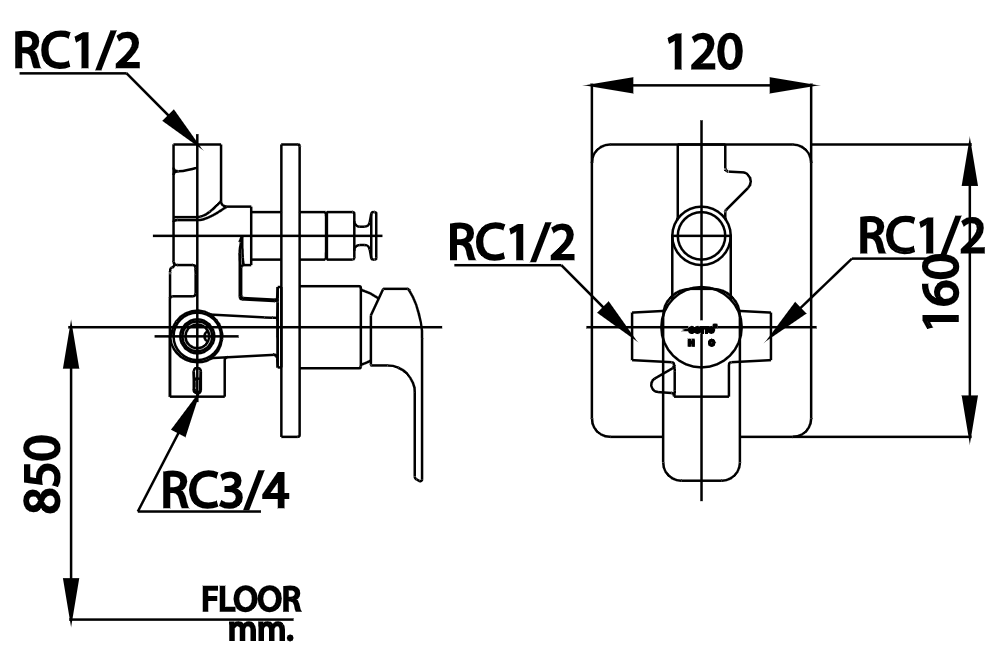 CỦ SEN TẮM COTTO - CT2145A#GR - Ảnh 4