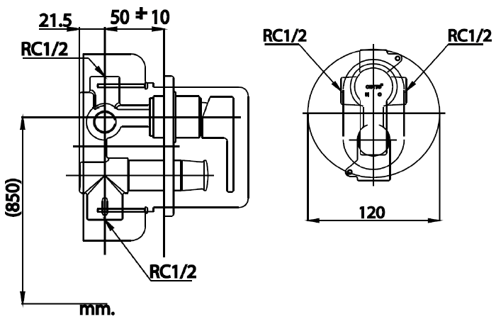 CỦ SEN TẮM COTTO - CT2152AV - Ảnh 2