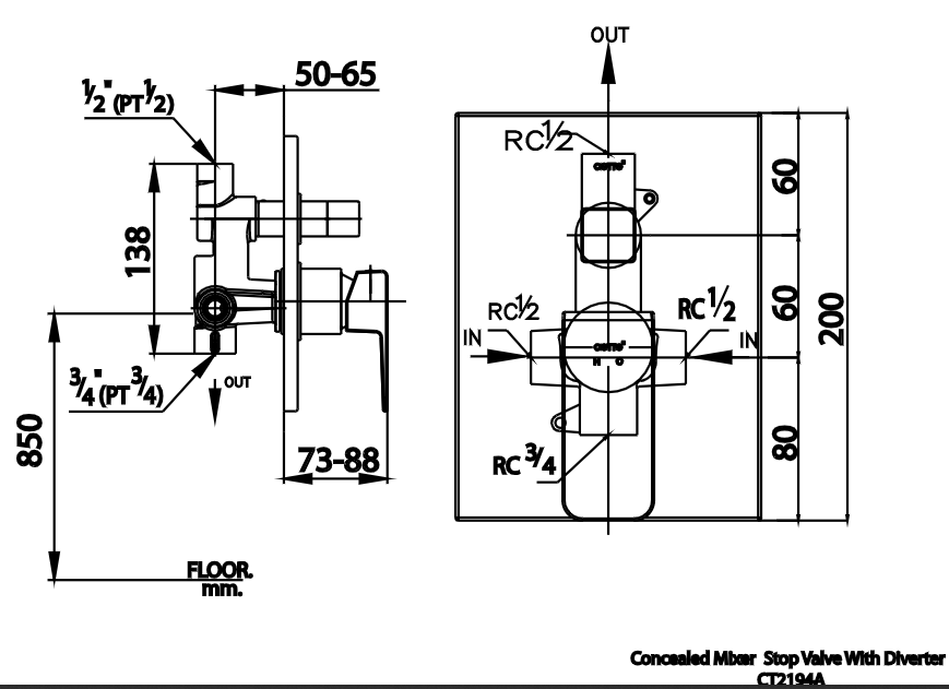 CỦ SEN TẮM COTTO - CT2194A - Ảnh 2