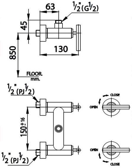CỦ SEN COTTO - CT276C20 - Ảnh 2