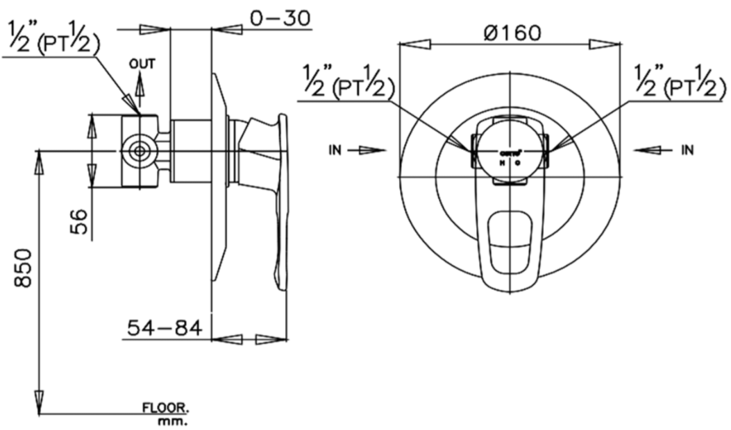 CỦ SEN COTTO - CT324A - Ảnh 2