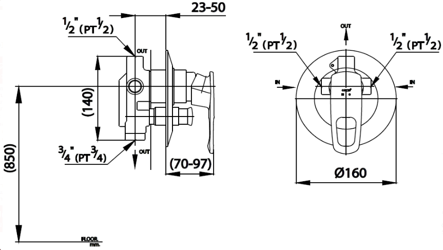 CỦ SEN COTTO - CT393NV - Ảnh 2