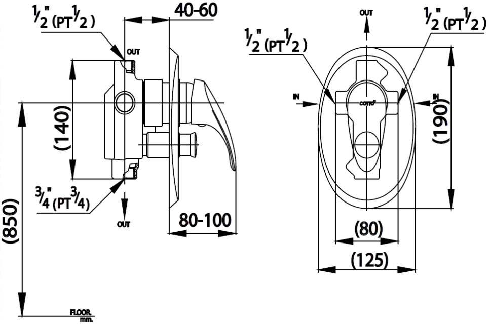 CỦ SEN TẮM COTTO - CT582AV - Ảnh 2