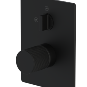 KHÓA NÓNG LẠNH ÂM TƯỜNG 2 CHỨC NĂNG DIVINI DVR-701.82110-BL